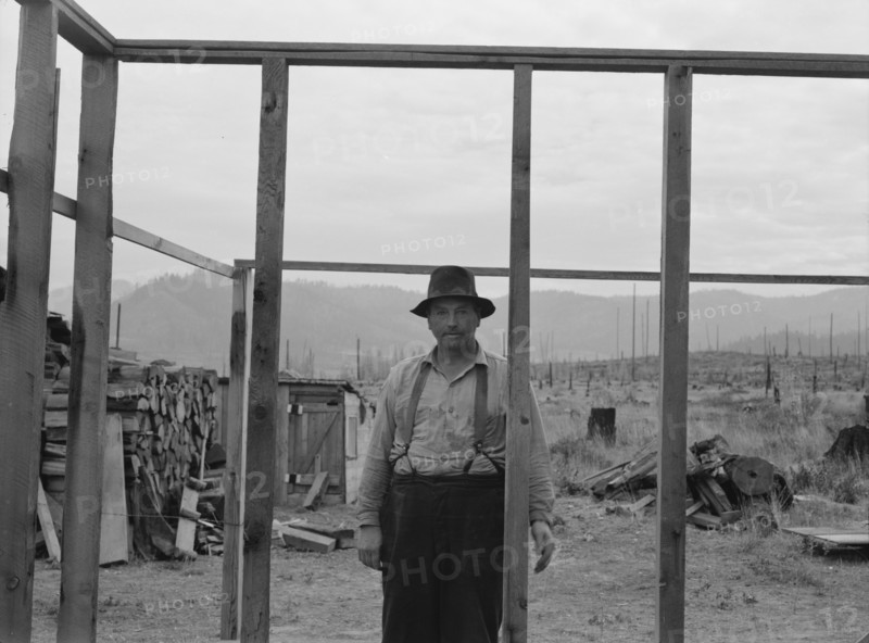 Burned out in Montana..., Priest River country, Bonner County, Idaho, 1939. Creator: Dorothea Lange.