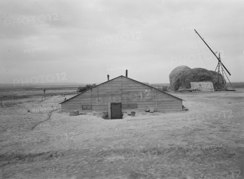 Home of Free family who had lived in Beaver County..., Dead Ox Flat, Malheur County, Oregon, 1939. Creator: Dorothea Lange.
