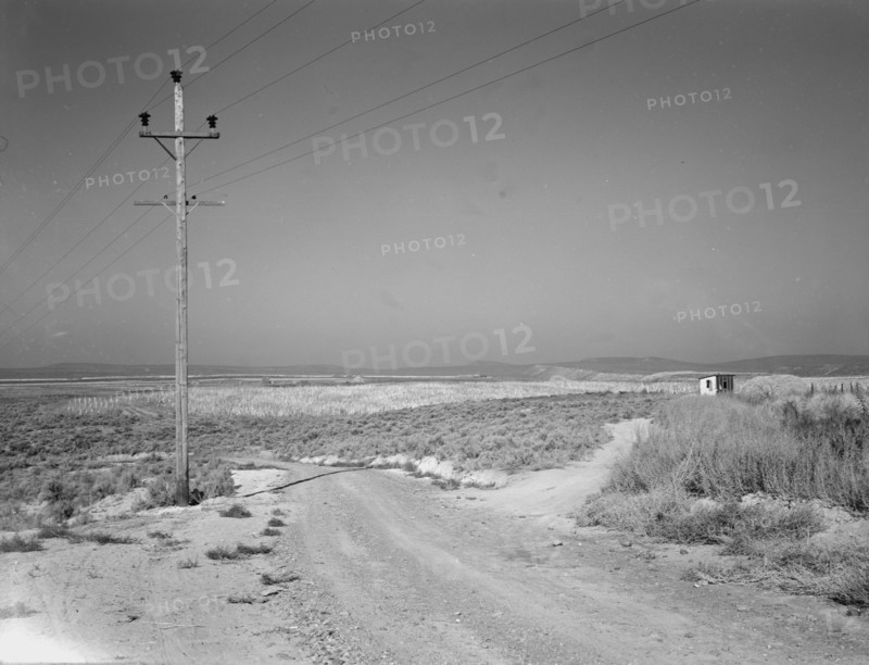 On bench land of the Owyhee project, Nyssa Heights, Malheur County, Oregon, 1939. Creator: Dorothea Lange.