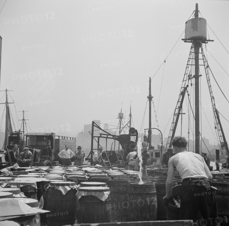 Possibly: Watering fish at the Fulton fish market with brine water, New York, 1943. Creator: Gordon Parks.
