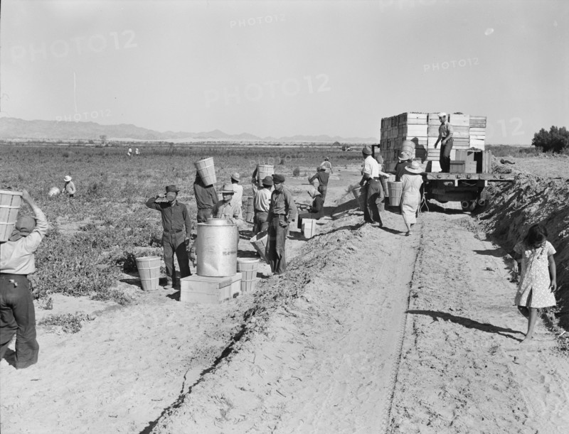 Five hundred pea pickers in field of large-scale Sinclair Ranch, Near Calipatria, California, 1939. Creator: Dorothea Lange.