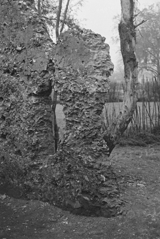 Possibly: Tabby construction, ruins of supposed Spanish mission, St. Marys, Georgia, 1936. Creator: Walker Evans.