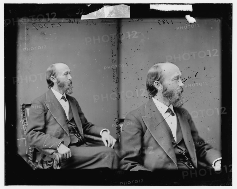 Senator Thomas Collier Platt of New York, 1865-1880. Creator: Unknown.