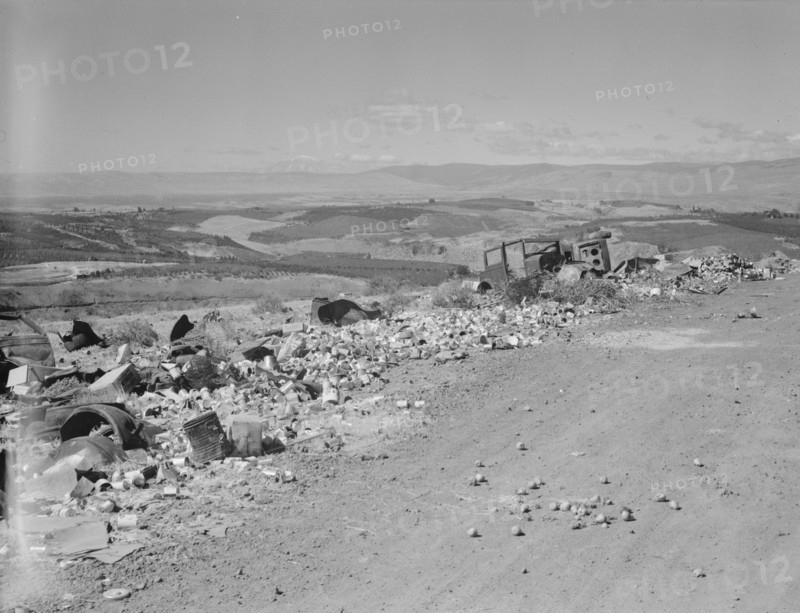 The valley below seen from advertised "lookout point.", Yakima Valley, Washington, 1939. Creator: Dorothea Lange.
