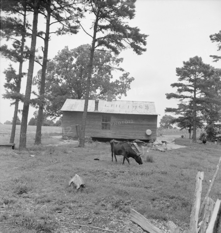 Negro sharecropper house seen from rear, Person County, North Carolina, 1939. Creator: Dorothea Lange.