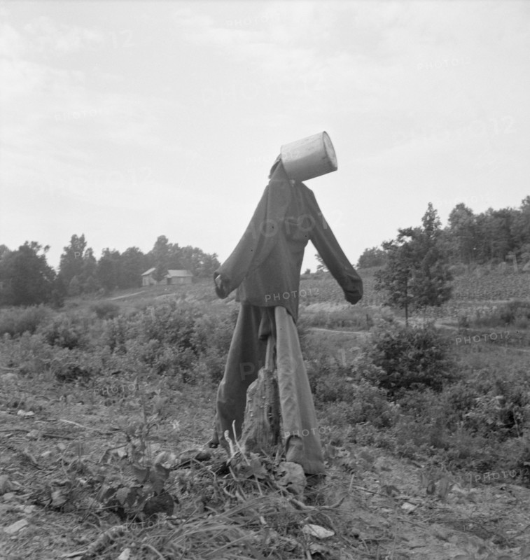 Untitled, possibly realted to: Scarecrow on a newly cleared..., near Roxboro, North Carolina, 1939. Creator: Dorothea Lange.