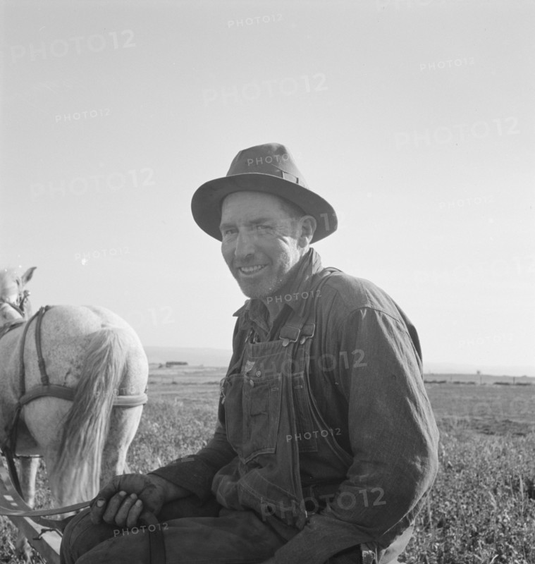 Mr. Roberts saying, "They're on WPA and I'm out here", Malheur County, Oregon, 1939. Creator: Dorothea Lange.