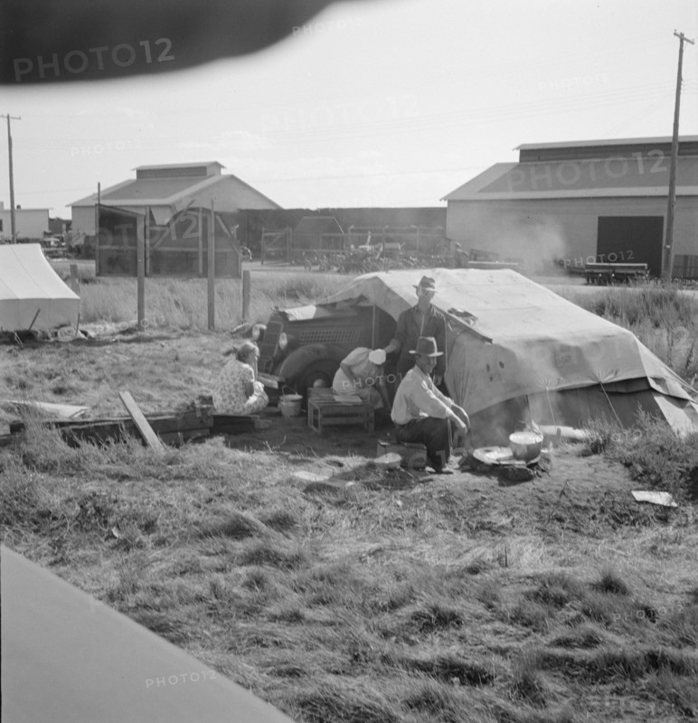 Living conditions for migrant potato pickers, Siskiyou County, California, 1939. Creator: Dorothea Lange.