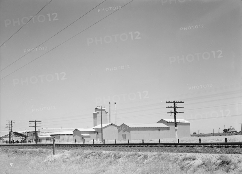 Winery belonging to Muscat Cooperative, on US 99. between Tulare and Fresno, California, 1939. Creator: Dorothea Lange.