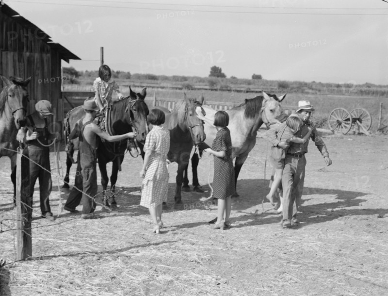 Chris Adolf, his team, and six of his..., near Wapato, Yakima Valley, Washington, 1939. Creator: Dorothea Lange.