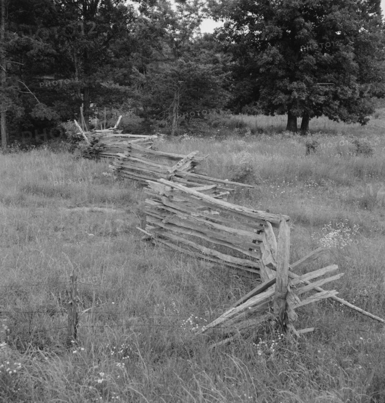 Rail fence with poor barbed wire fence in foreground, Person County, North Carolina, 1939. Creator: Dorothea Lange.
