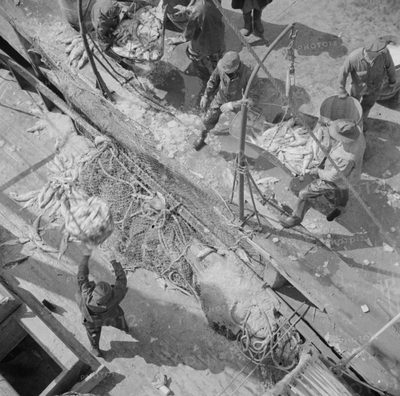 Fulton fish market dock stevedores unloading and weighing fish in the early morning, New York, 1943. Creator: Gordon Parks.