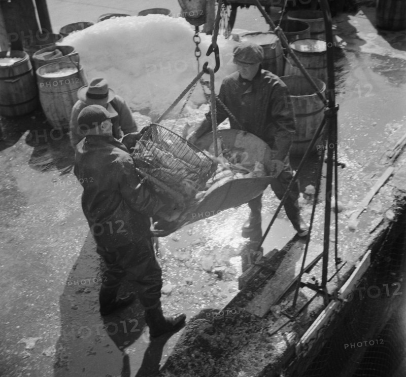 Fulton fish market dock stevedores unloading and weighing fish in the early morning, New York, 1943. Creator: Gordon Parks.
