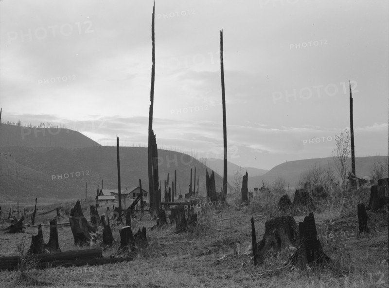 Possibly: View of the Halley farm. Priest River Peninsula, Bonner County, Idaho, 1939. Creator: Dorothea Lange.