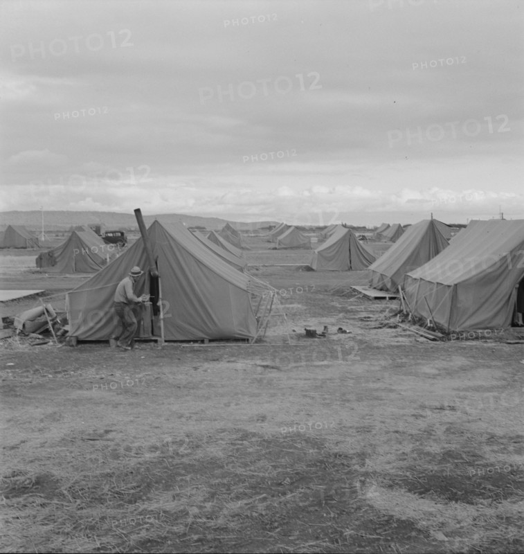 Migrant camp, Merrill, Klamath County, Oregon, 1939. Creator: Dorothea Lange.