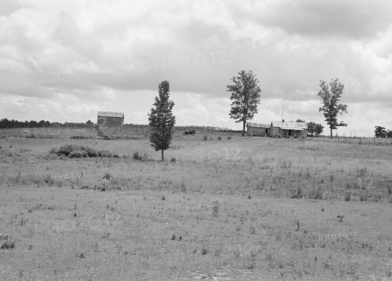 Farmhouse and landscape of Negro tenant family..., Near Pittsboro, North Carolina, 1939. Creator: Dorothea Lange.