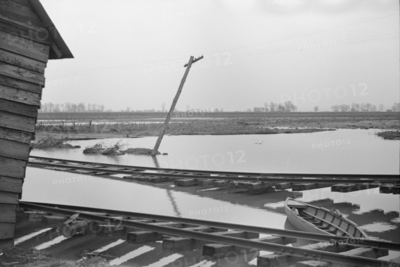 [Untitled photo, possibly related to: Farmyard covered with flood waters near Ridgeley, Tennessee].