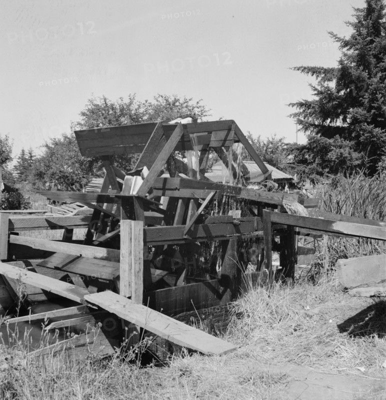 Oregon, Marion County, north of West Stayton. Waterwheel for field irrigation in the bean country.