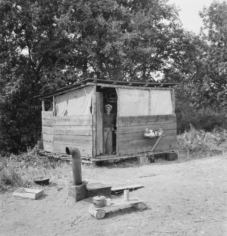 Oregon, Josephine County, near Grants Pass. A row of shelters like this for hop pickers' families.