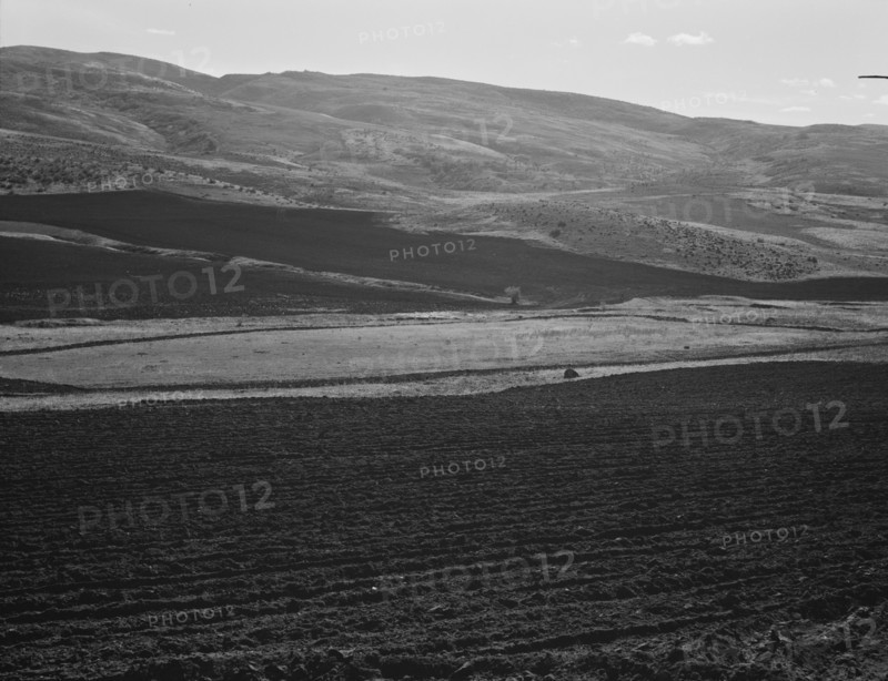 Newly-plowed fields on land belonging to member of Ola self-help sawmill co-op. Gem County, Idaho.