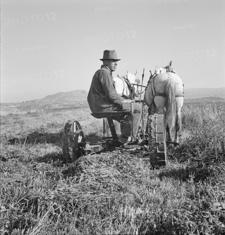 Mr. Roberts, FSA (Farm Security Administration) borrower. Owyhee project. Malheur County, Oregon.