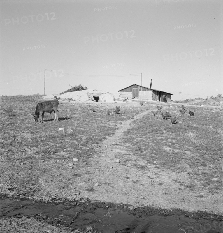 Abode [adobe?] basement dugout house on Roberts' farm. Willow Creek area. Malheur County, Oregon.