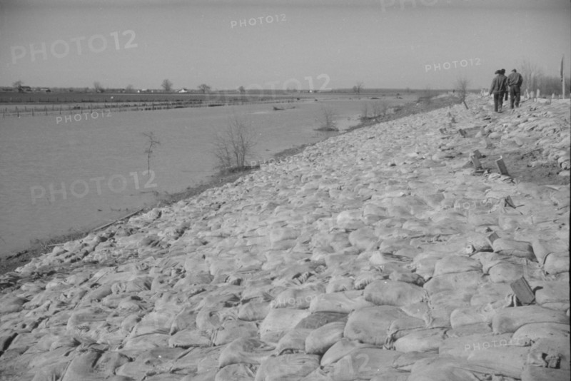The Bessie Levee augmented with sand bags during the 1937 flood. Near Tiptonville, Tennessee.
