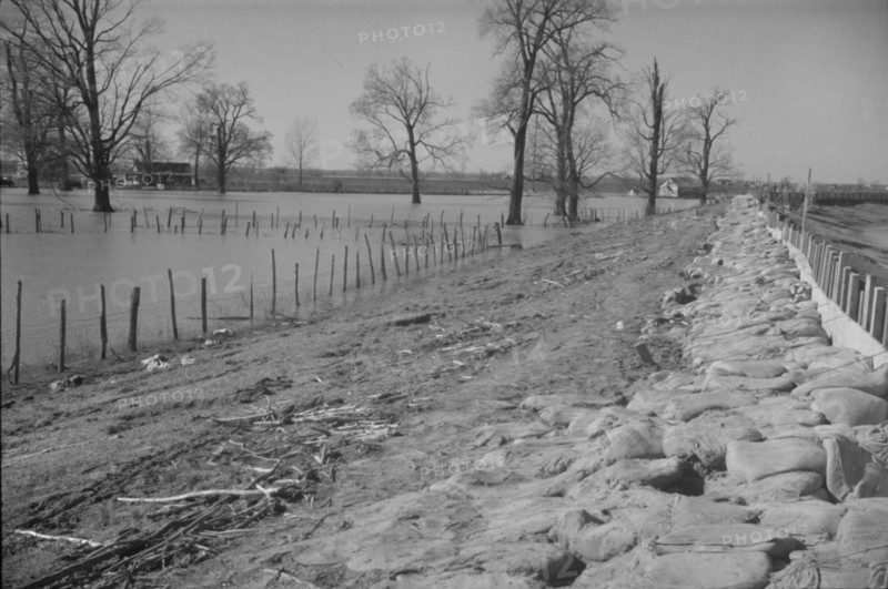 The Bessie Levee augmented with sand bags during the 1937 flood. Near Tiptonville, Tennessee.