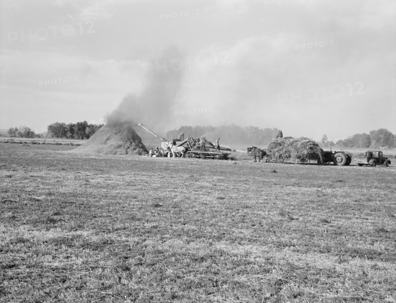 Threshing red clover for seed on older settler's ranch. Near Ontario, Malheur County, Oregon.
