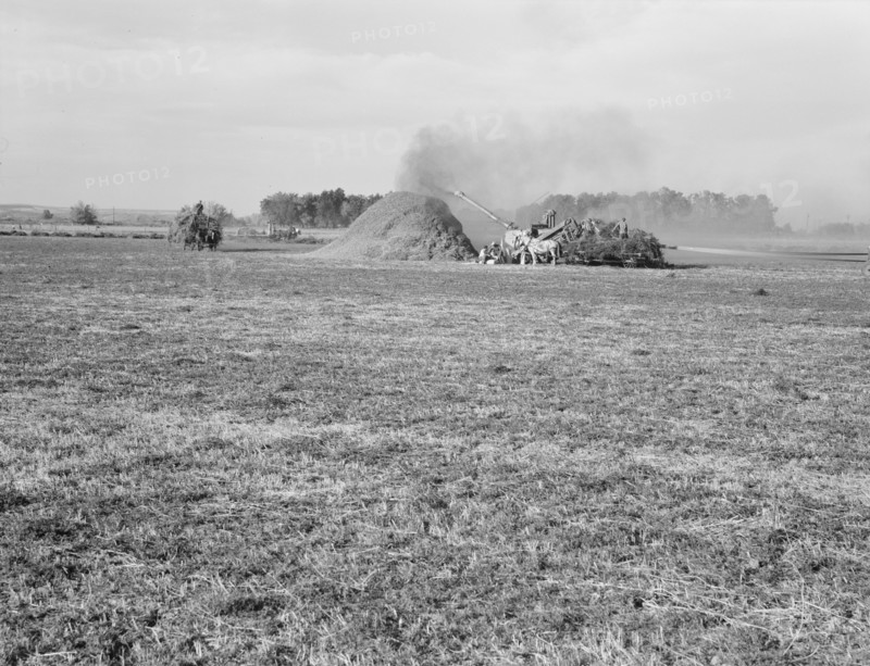 Threshing red clover for seed on older settler's ranch. Near Ontario, Malheur County, Oregon.