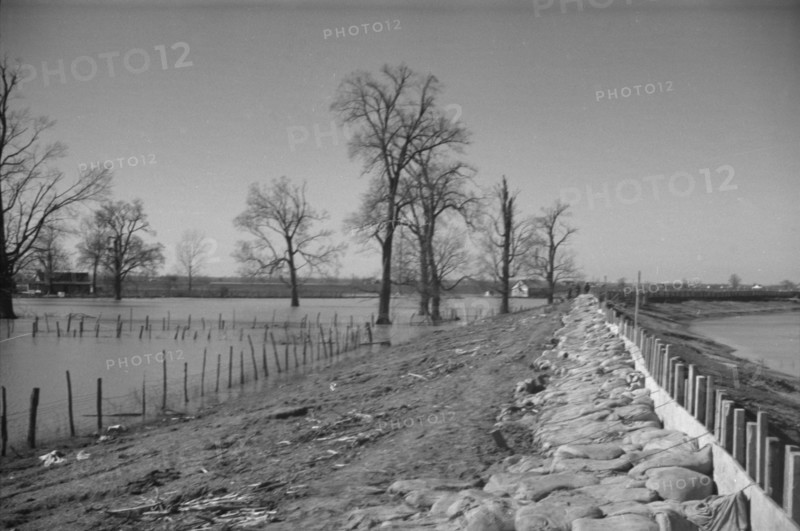 The Bessie Levee augmented with sand bags during the 1937 flood near Tiptonville, Tennessee.