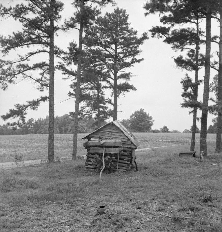 Henhouse on Negro tobacco farm. Note pine trees, road, field. Person County, North Carolina.