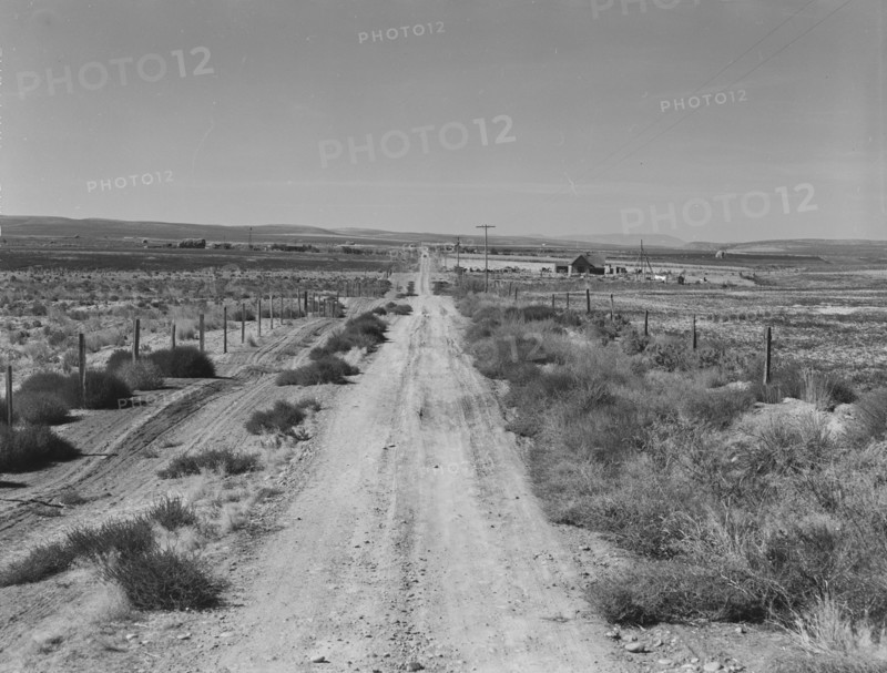 Section of lone road approaching the Schroeder place. Dead Ox Flat, Malheur County, Oregon.