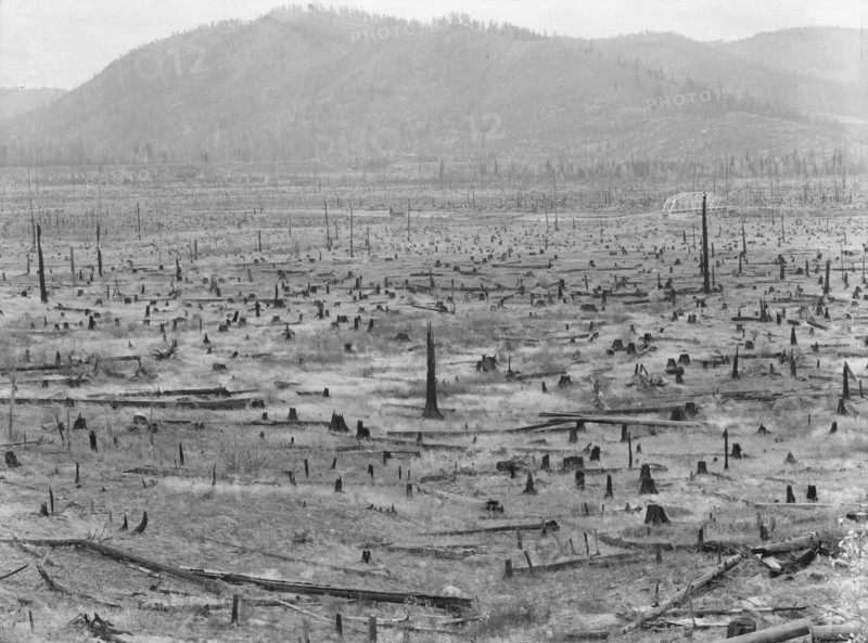 Priest River Valley, where many settlers grow hay between the stumps. Bonner County, Idaho.