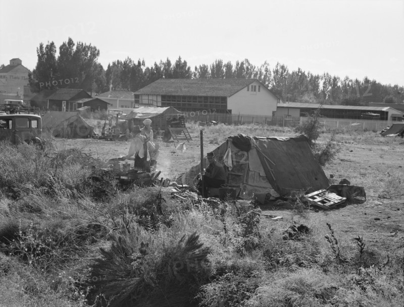One of the forty potato camps in open field, entering town. Malin, Klamath County, Oregon.