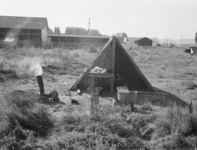 One of the forty potato camps in open field, entering town. Malin, Klamath County, Oregon.