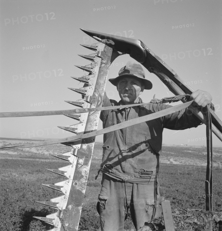 Mr. Browning in his field getting ready to mow hay. Dead Ox Flat, Malheur County, Oregon.