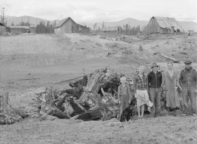 The Unruf family, stump pile, and their partly developed farm. Boundary County, Idaho.