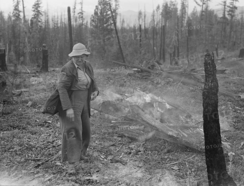 Family work clearing land by burning. Near Bonners Ferry, Boundary County, Idaho.