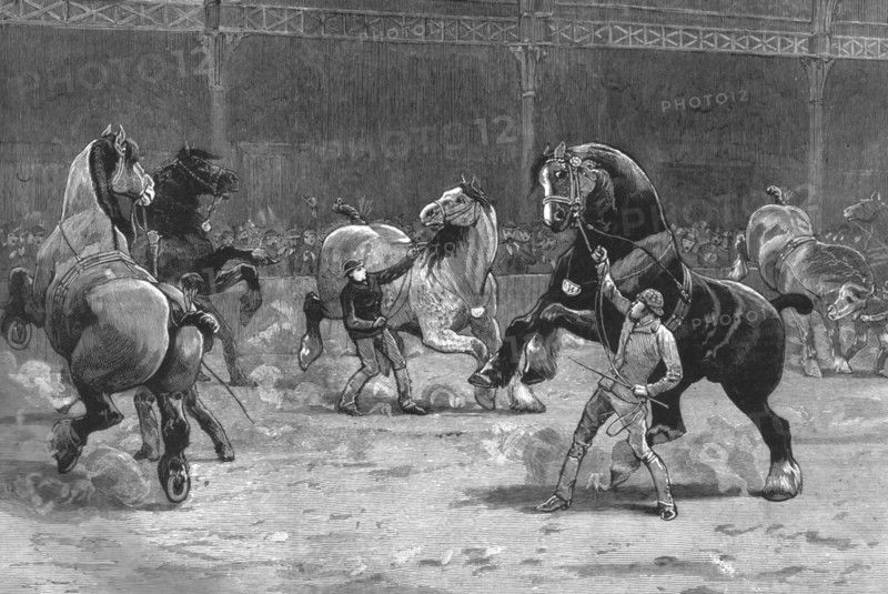 ''The Shire Horse Show at the Agricultural Hall--The effect of applause', 1890.
