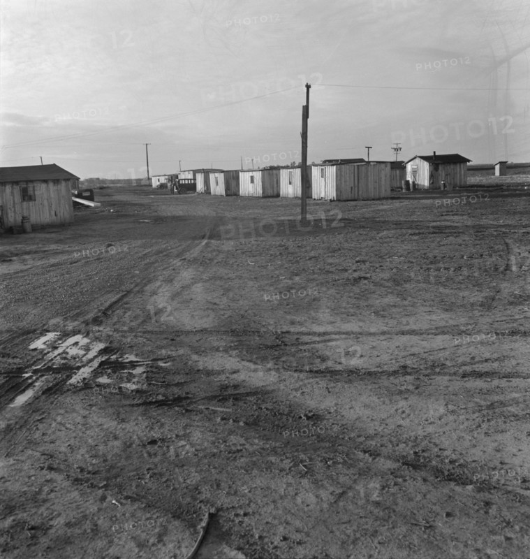 Newly-built cabins, rent five dollars per month. California. Near Bakersfield.