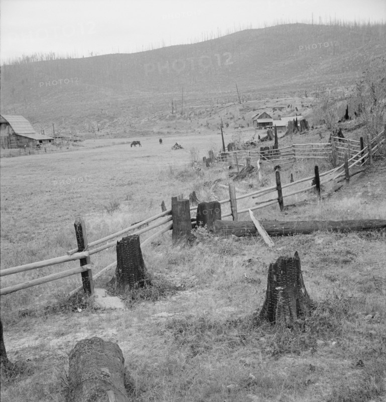 Fenced pasture on cut-over farm. Priest River Valley, Bonner County, Idaho.