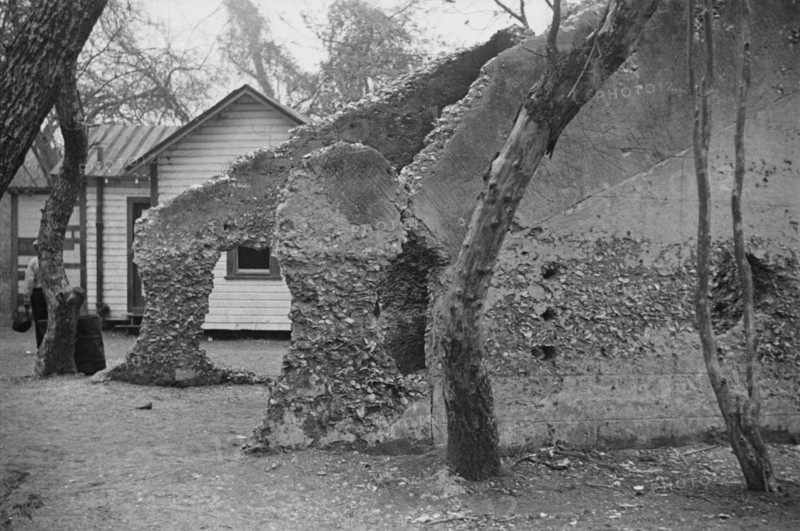 Ruins of supposed Spanish mission. Tabby construction. St. Marys, Georgia.