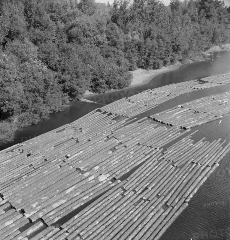 Log rafts on the Williamette River between Salem and Independence, Oregon.