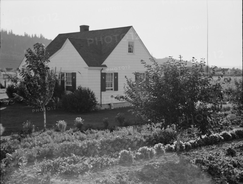 Washington, Cowlitz County, Longview. Home on Longview homestead project.