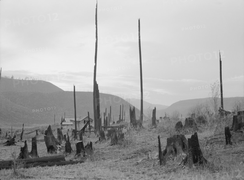 View of the Halley farm. Priest River Peninsula. Bonner County, Idaho.