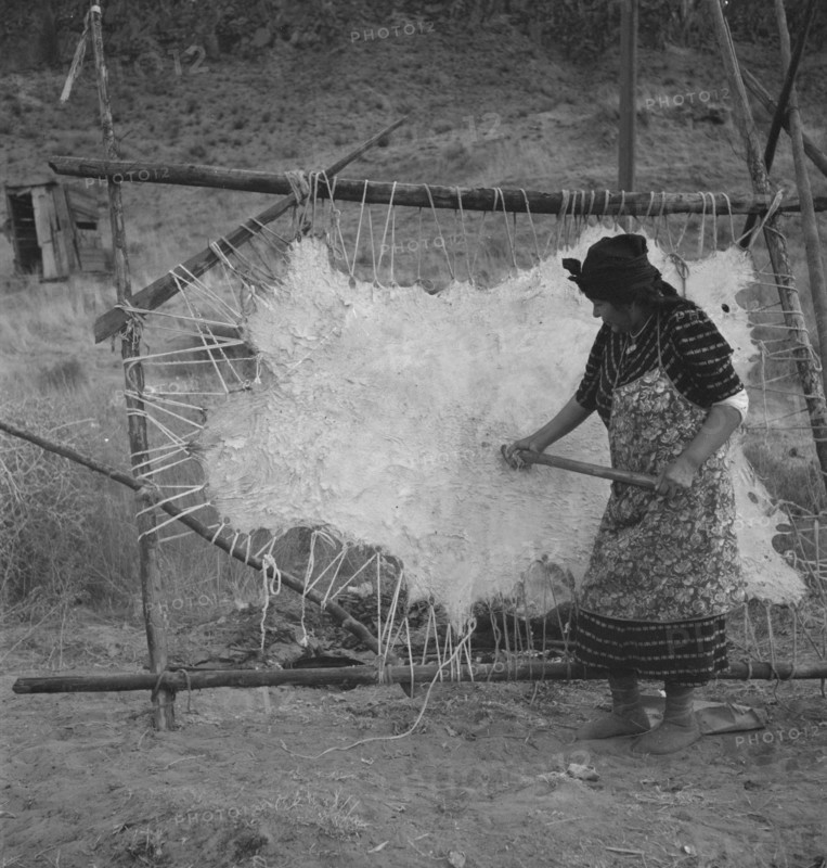 Method of scraping hide for softening. Indian fishing village. Oregon.