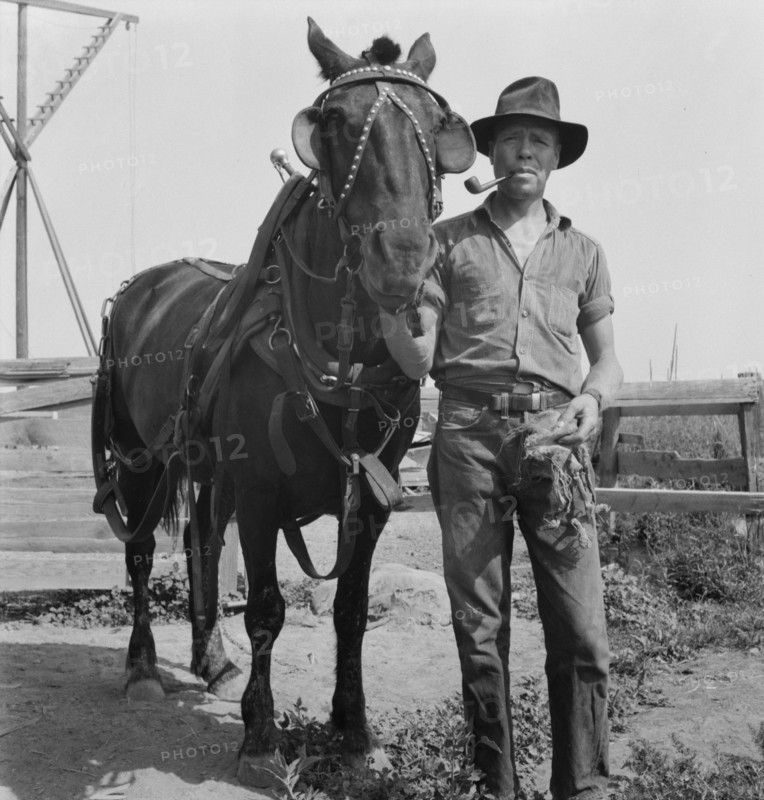Hired man on the Myers farm. Near Outlook, Yakima County, Washington.