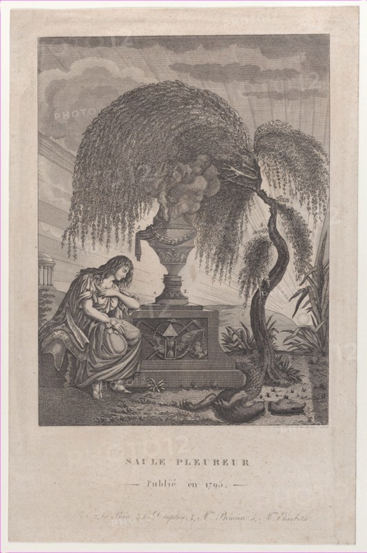The Weeping Willow with hidden silhouettes of the Royal family, 1795.