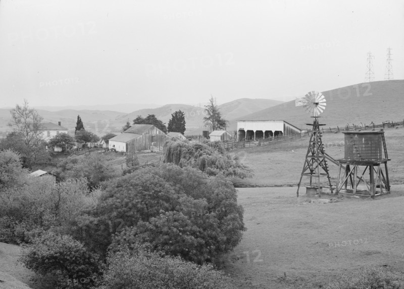 Small farm in the coast range foothills. Alameda County, California.